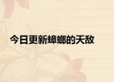 今日更新蟑螂的天敌