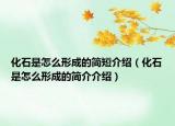 化石是怎么形成的简短介绍（化石是怎么形成的简介介绍）