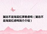 鬓边不是海棠红原著虐吗（鬓边不是海棠红虐吗简介介绍）