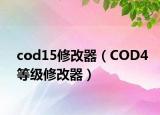 cod15修改器（COD4等级修改器）