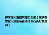 御龙在天重剑属性怎么选（跪求御龙在天重剑装备镶什么石头好要全部）