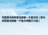 巴西亚马孙和亚马逊是一个地方吗（亚马孙和亚马逊是一个地方吗简介介绍）