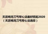 天涯明月刀丐帮心法最好搭配2020（天涯明月刀丐帮心法选择）