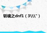斩魂之dnf1（3\