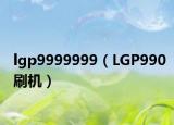 lgp9999999（LGP990刷机）