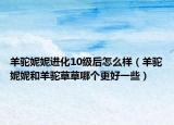 羊驼妮妮进化10级后怎么样（羊驼妮妮和羊驼草草哪个更好一些）