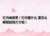 忙内啥意思（忙内是什么 是怎么解释的简介介绍）