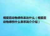 相爱后动物感伤表达什么（相爱后动物感伤什么意思简介介绍）