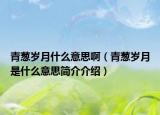 青葱岁月什么意思啊（青葱岁月是什么意思简介介绍）