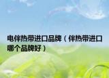 电伴热带进口品牌（伴热带进口哪个品牌好）