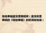 嫁给幸福庞龙董卿视频（庞龙和董卿唱的《嫁给幸福》的歌词谁知道）
