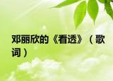 邓丽欣的《看透》（歌词）