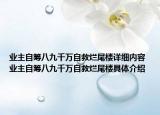 业主自筹八九千万自救烂尾楼详细内容 业主自筹八九千万自救烂尾楼具体介绍