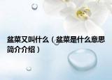盆菜又叫什么（盆菜是什么意思简介介绍）