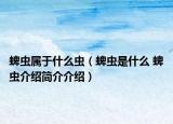 蜱虫属于什么虫（蜱虫是什么 蜱虫介绍简介介绍）