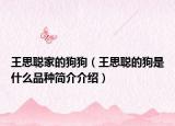 王思聪家的狗狗（王思聪的狗是什么品种简介介绍）