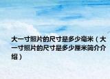 大一寸照片的尺寸是多少毫米（大一寸照片的尺寸是多少厘米简介介绍）