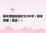 新年愿望英语作文200字（新年愿望（英语））