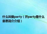 什么叫做party（开party是什么意思简介介绍）
