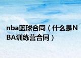 nba篮球合同（什么是NBA训练营合同）