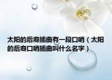 太阳的后裔插曲有一段口哨（太阳的后裔口哨插曲叫什么名字）