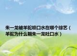 朱一龙被羊驼喷口水在哪个综艺（羊驼为什么朝朱一龙吐口水）
