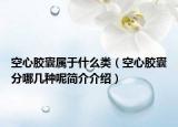 空心胶囊属于什么类（空心胶囊分哪几种呢简介介绍）