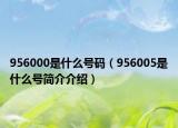 956000是什么号码（956005是什么号简介介绍）