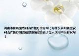 湖南泰阳新型农村合作医疗信息网（为什么泰阳新型农村合作医疗管理信息系统登进去了显示该用户没有权限）