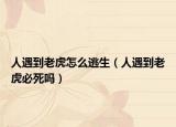 人遇到老虎怎么逃生（人遇到老虎必死吗）