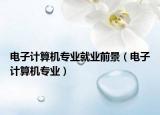 电子计算机专业就业前景（电子计算机专业）