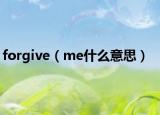 forgive（me什么意思）