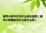 蜡笔小新今天为什么很火的歌（蜡笔小新唱的为什么是什么歌）