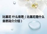 比基尼 什么意思（比基尼是什么意思简介介绍）