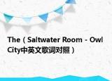 The（Saltwater Room - Owl City中英文歌词对照）