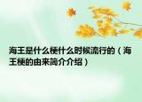 海王是什么梗什么时候流行的（海王梗的由来简介介绍）
