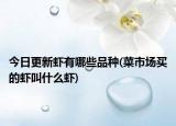 今日更新虾有哪些品种(菜市场买的虾叫什么虾)