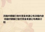 河南村镇银行垫付资金来源公布详细内容 河南村镇银行垫付资金来源公布具体介绍
