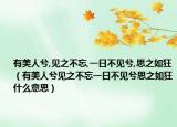 有美人兮,见之不忘,一日不见兮,思之如狂（有美人兮见之不忘一日不见兮思之如狂什么意思）