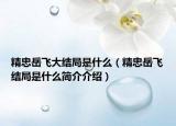 精忠岳飞大结局是什么（精忠岳飞结局是什么简介介绍）
