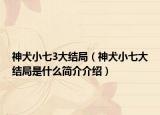 神犬小七3大结局（神犬小七大结局是什么简介介绍）
