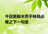 今日更新木秀于林风必催之下一句是