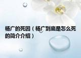 杨广的死因（杨广到底是怎么死的简介介绍）