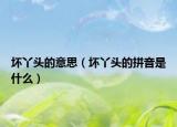 坏丫头的意思（坏丫头的拼音是什么）