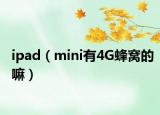 ipad（mini有4G蜂窝的嘛）