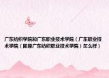 广东纺织学院和广东职业技术学院（广东职业技术学院（即原广东纺织职业技术学院）怎么样）