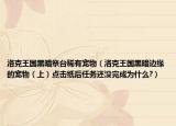 洛克王国黑暗祭台稀有宠物（洛克王国黑暗边缘的宠物（上）点击纸后任务还没完成为什么?）