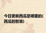 今日更新西瓜是哪里的(西瓜的智慧)