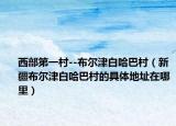 西部第一村--布尔津白哈巴村（新疆布尔津白哈巴村的具体地址在哪里）