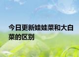 今日更新娃娃菜和大白菜的区别